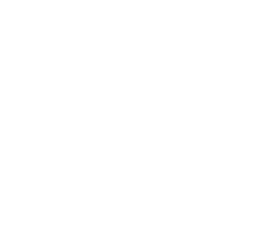 Genuine Leather icon